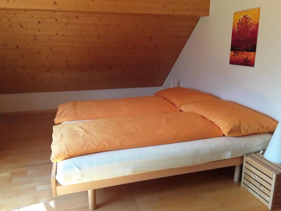 Zwinglis Ferienwohnung Rosi Nesslau Dış mekan fotoğraf