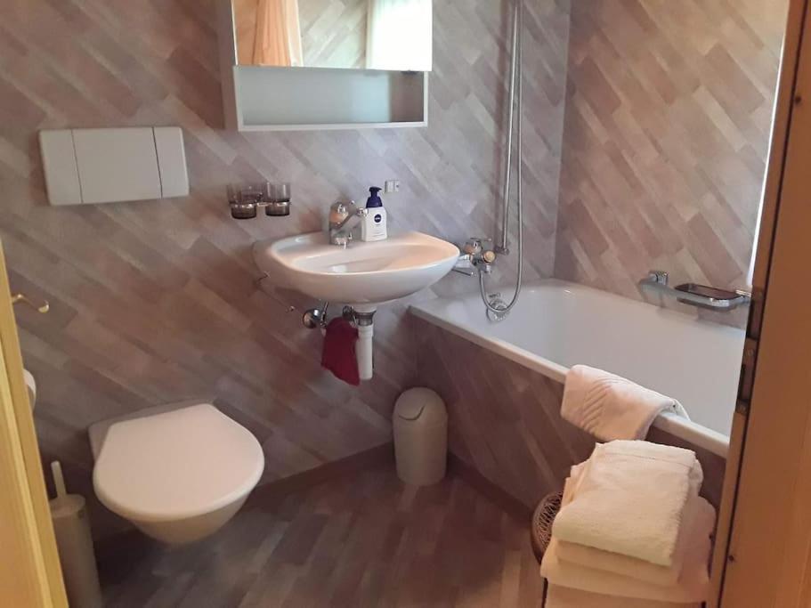 Zwinglis Ferienwohnung Rosi Nesslau Dış mekan fotoğraf